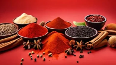 Temperos Fáceis para Dar um Toque Especial às Suas Carnes