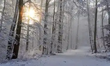 Inverno